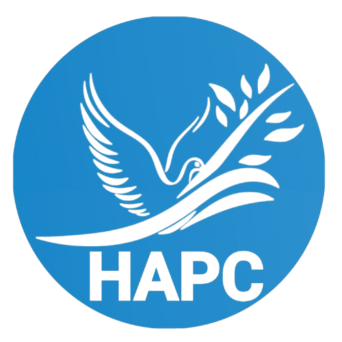 hornpeacebridgeconsultants.org